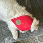 božićna bandana