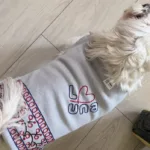 Slavonski kaputić,Zašto psi trebaju odjeću