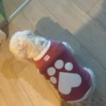 Prsluk šapa srce