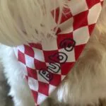 Bandana Croatia