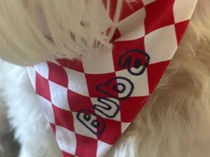 Bandana Croatia