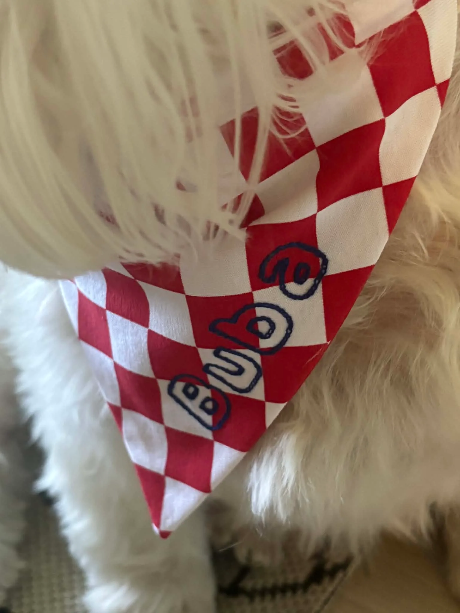 Bandana Croatia