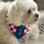 navijačka bandana