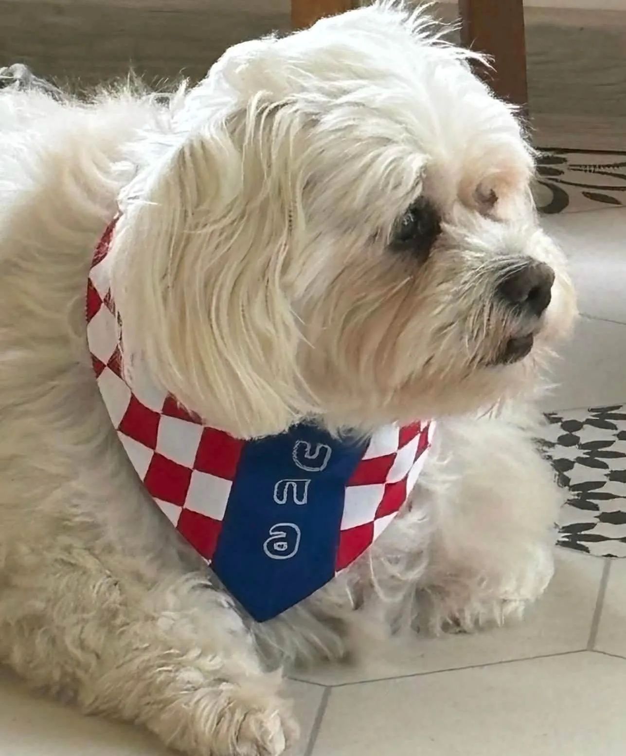 navijačka bandana